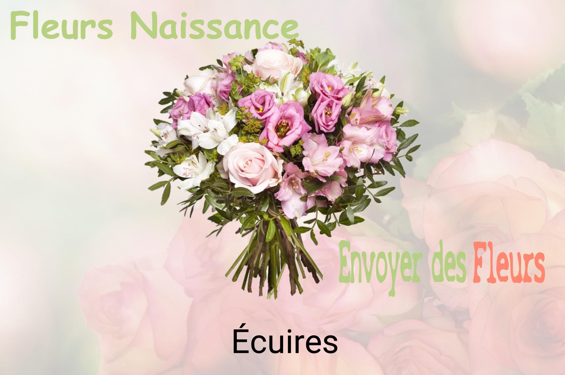 Bouquet de fleurs de naissance livré à Écuires